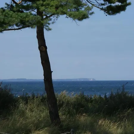 Дом отдыха Urlaub Mit Hund Im Bernsteinhus
