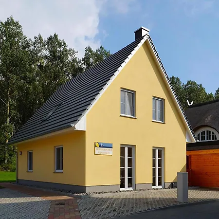 Urlaub Mit Hund Im Bernsteinhus